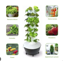 Muat gambar ke penampil Galeri, NEW & IMPROVED Vertical Hidroponic Tower