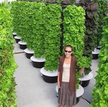 Muat gambar ke penampil Galeri, NEW & IMPROVED Vertical Hidroponic Tower