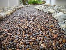 Muat gambar ke penampil Galeri, Lantai karpet batu Pebble-Lock (koral sikat dengan perekat batu Pebble-Lock)
